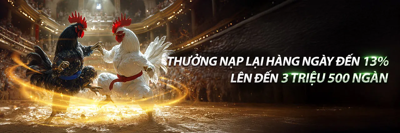 Tải ứng dụng VF55 trải nghiệm cá cược trực tuyến